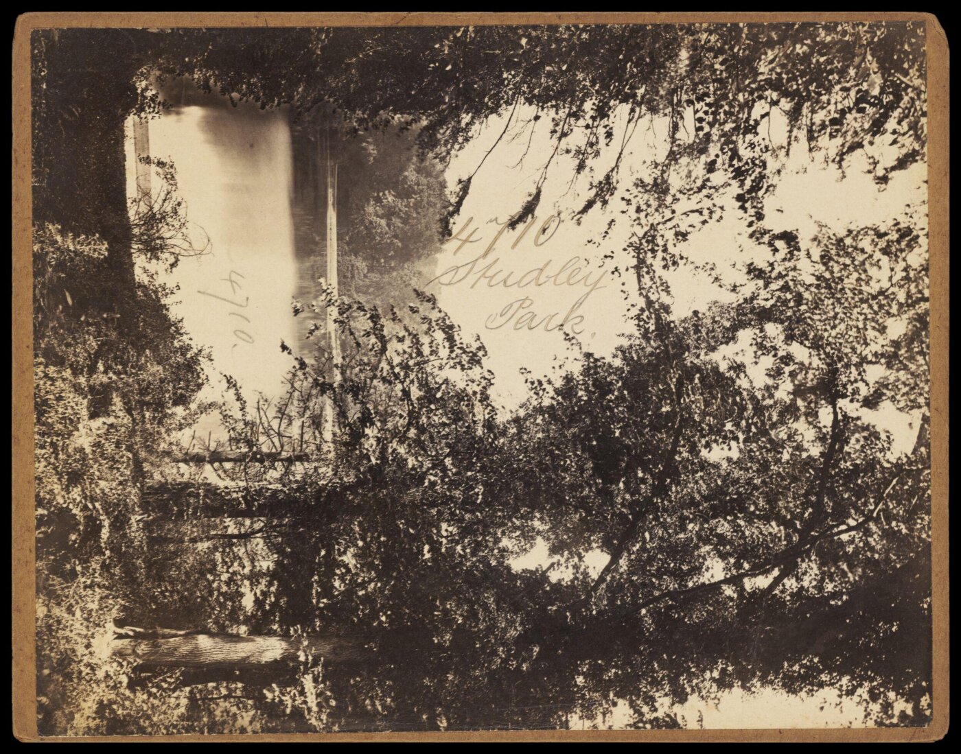 Francis Frith, Photograph