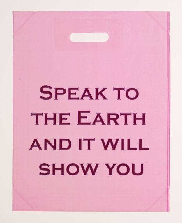 Speak to the earth and it will show you