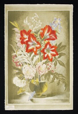 Striped Lily
