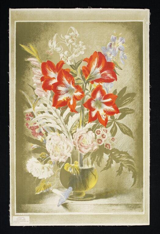 Striped Lily