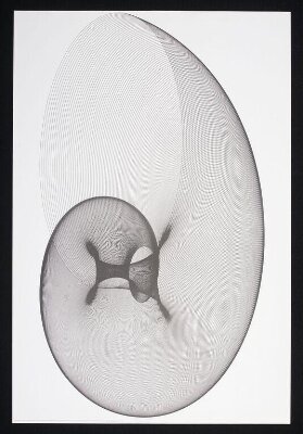 The Snail