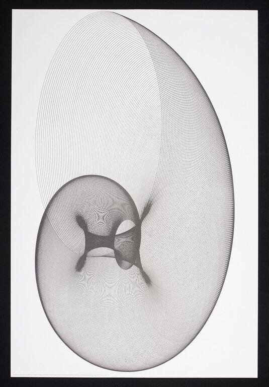 The Snail