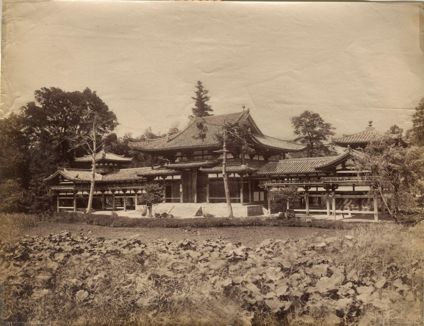 Unknown, The Boyodo-in-Temple, Uji, Japan