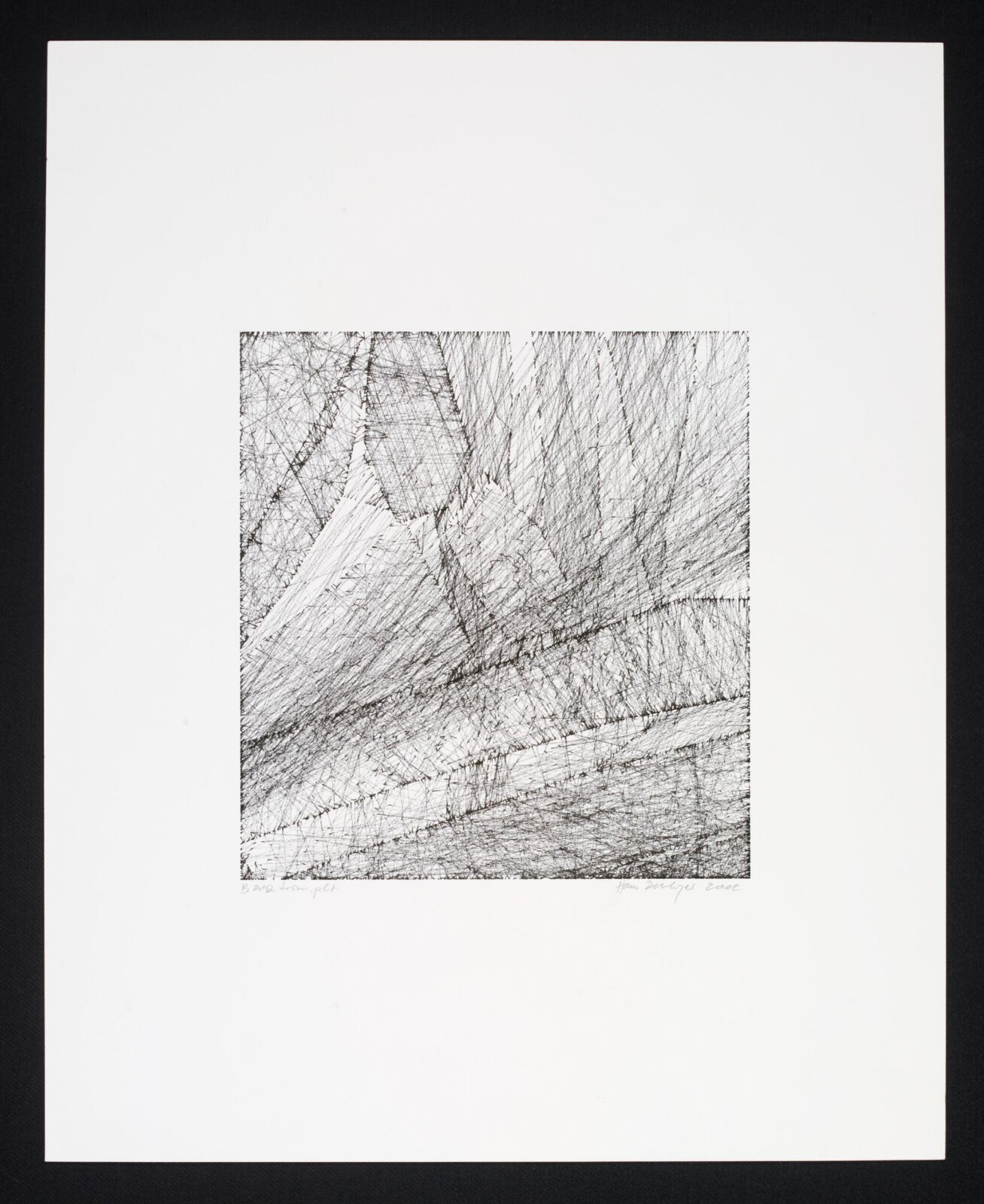 Trim.plt, Hans Dehlinger, 2002