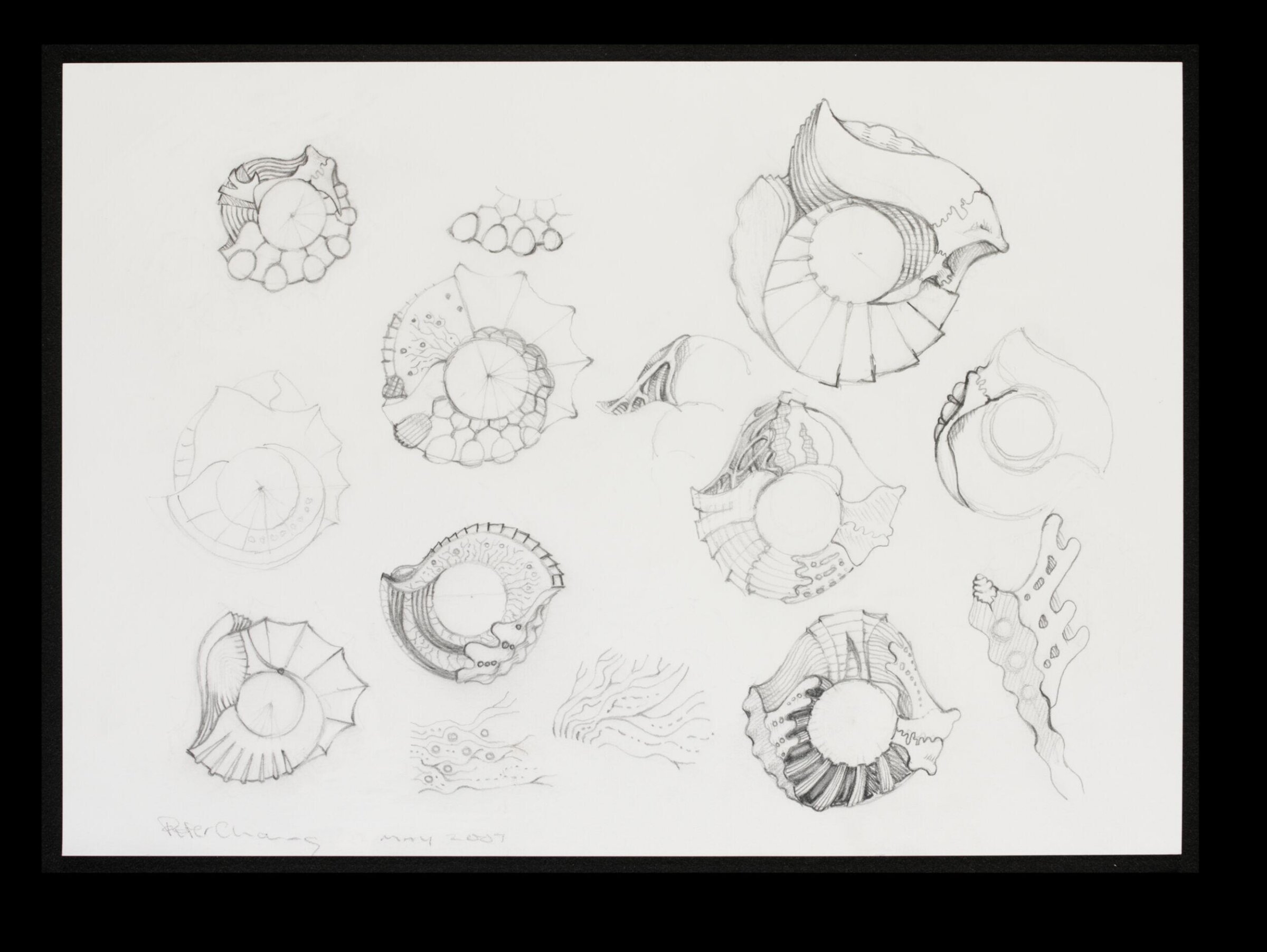 Contribution to V&A's 150th anniversary album, Peter Chang, 2007