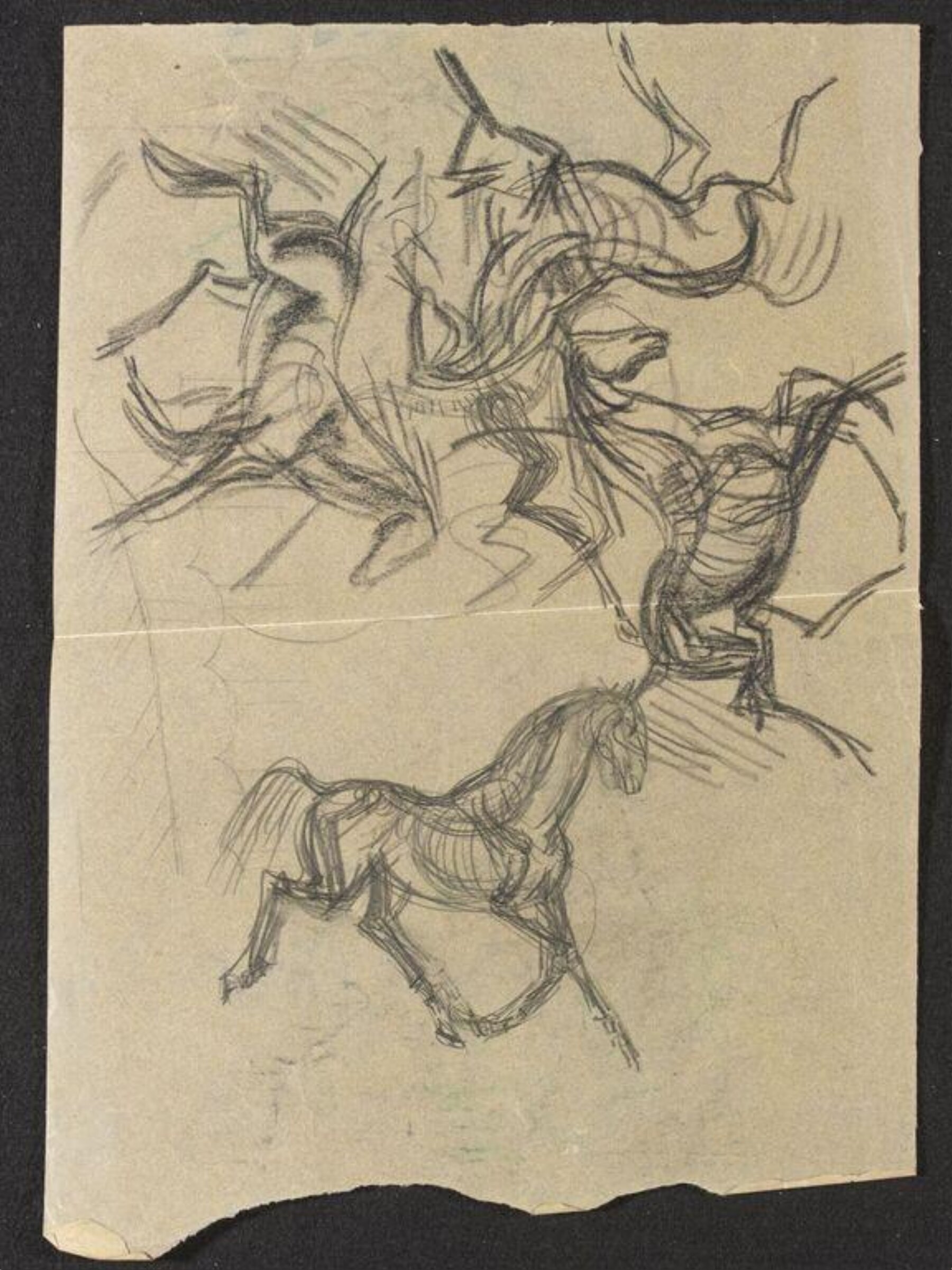 Horses, Phyllis E. Ginger, ca. 1940-1960