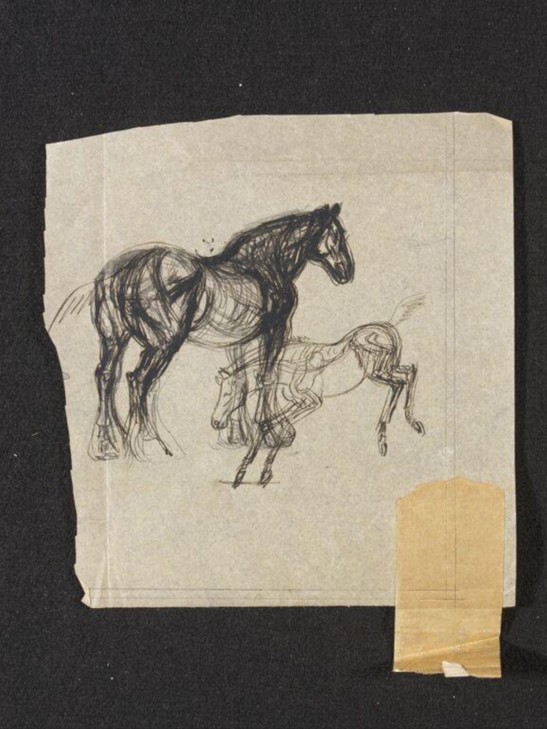 Two Horses, Phyllis E. Ginger, ca. 1940-1960