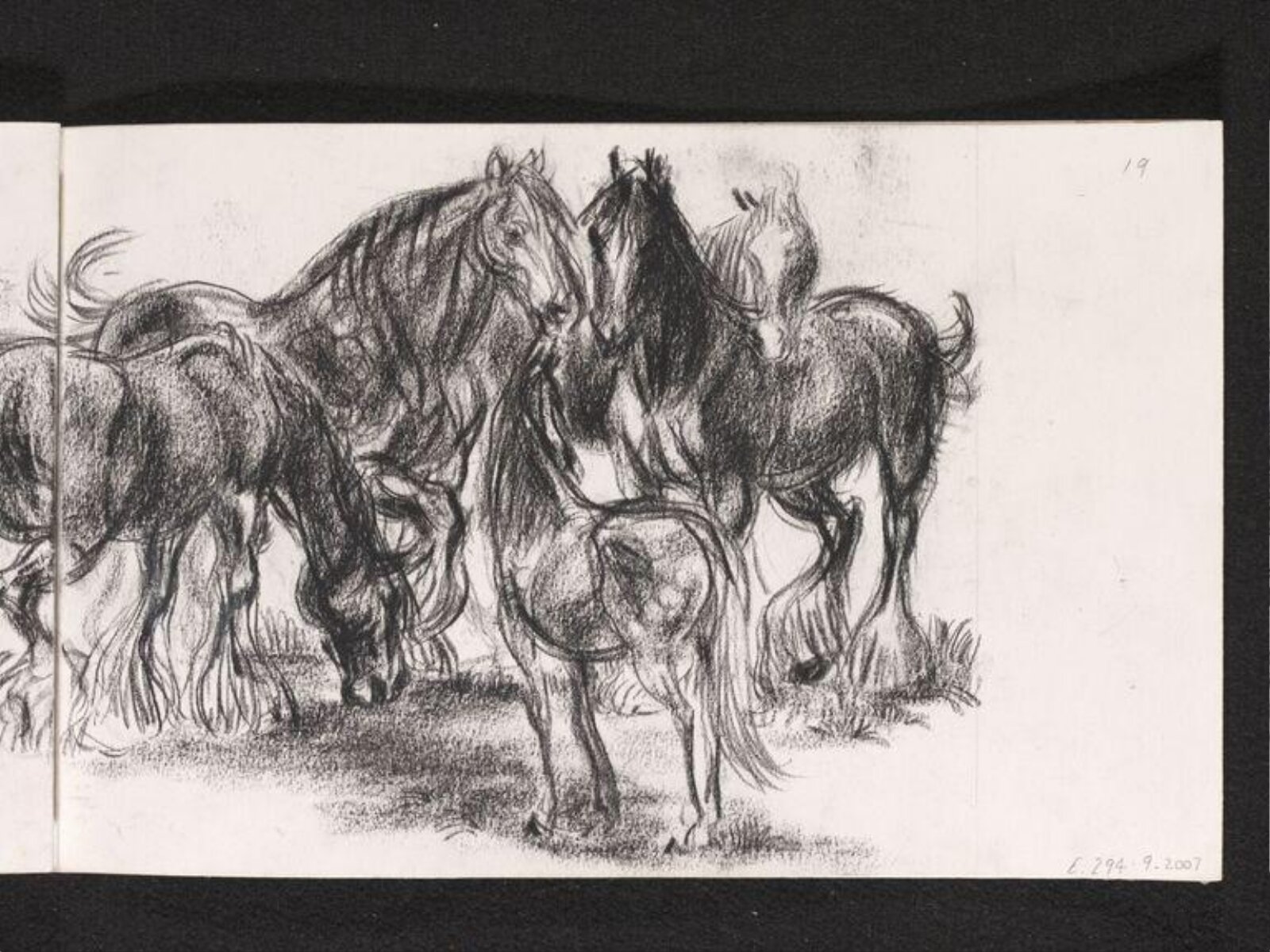 Horses in the landscape, Phyllis E. Ginger, ca. 1940-1960