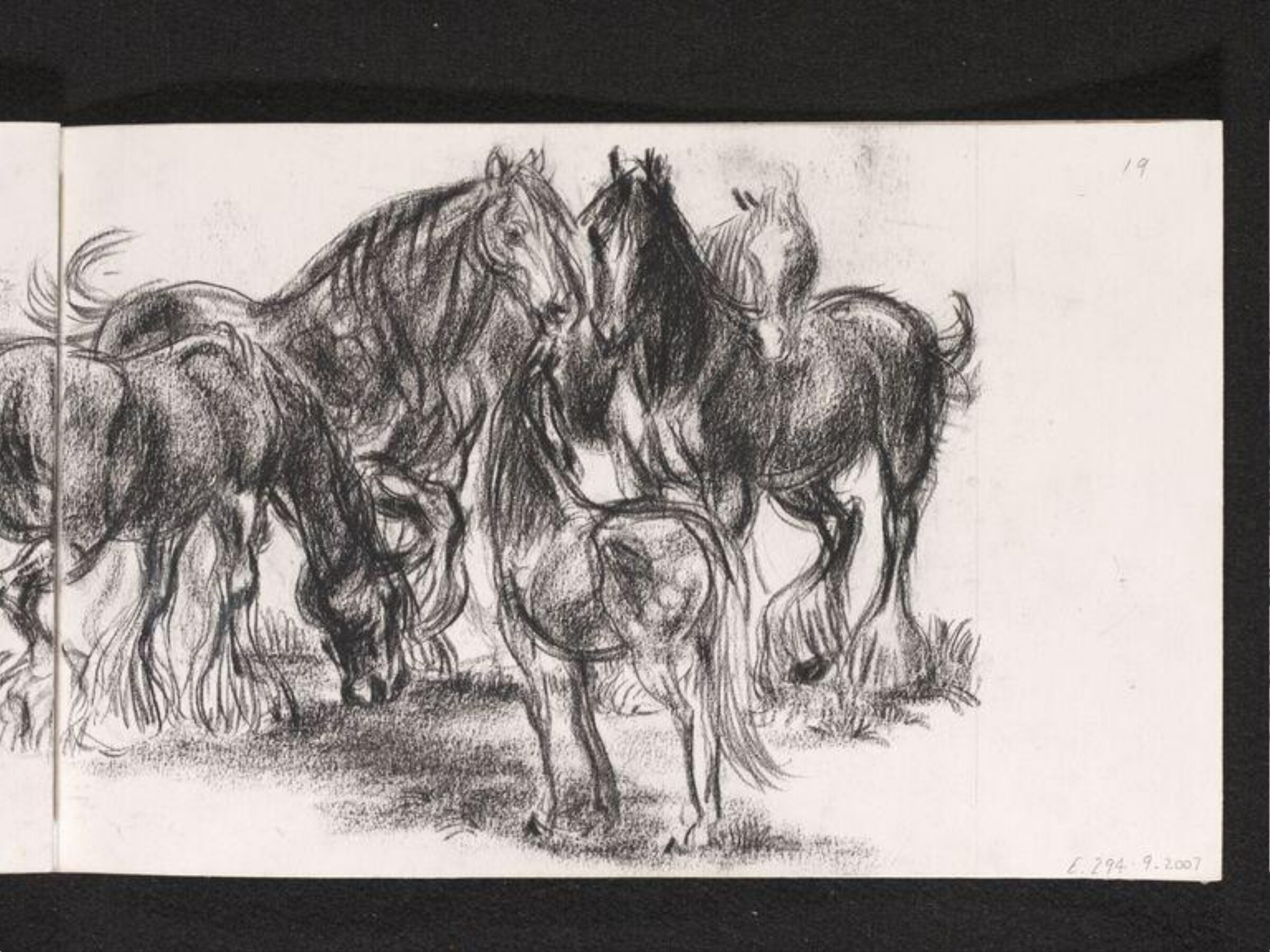 Horses in the landscape, Phyllis E. Ginger, ca. 1940-1960