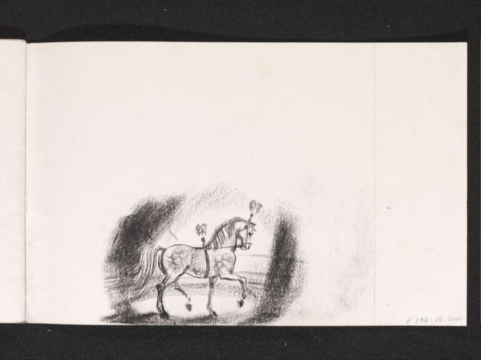 A horse performing in a circus, Phyllis E. Ginger, ca. 1940-1960