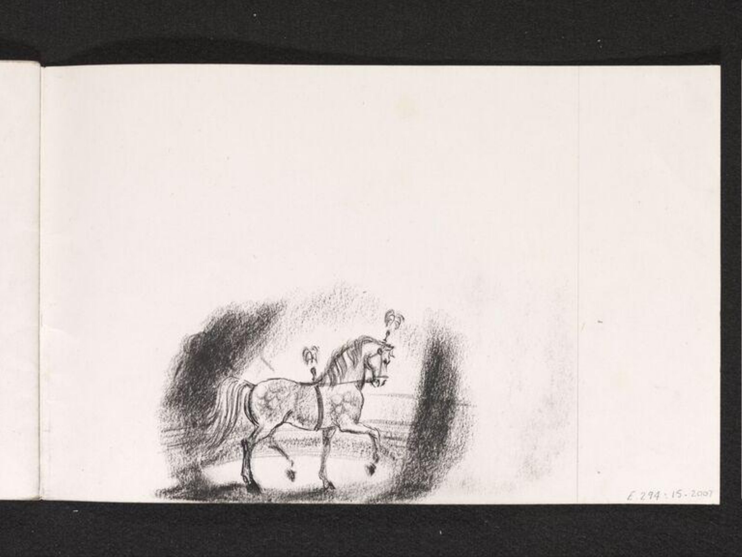 A horse performing in a circus, Phyllis E. Ginger, ca. 1940-1960
