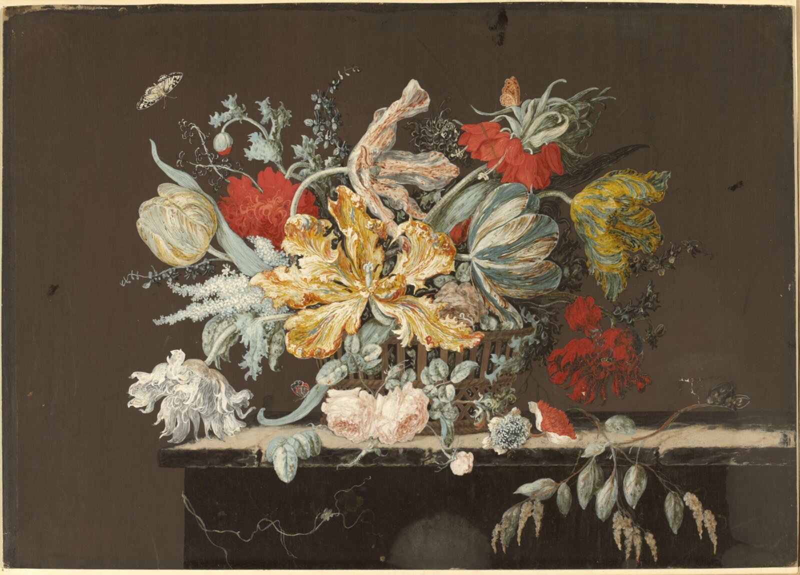 Drawing, Jan van Huysum, 1682-1749