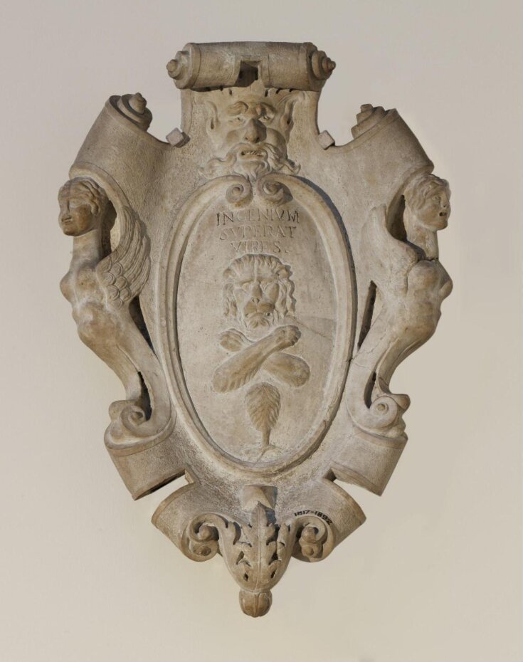 Shield of arms top image