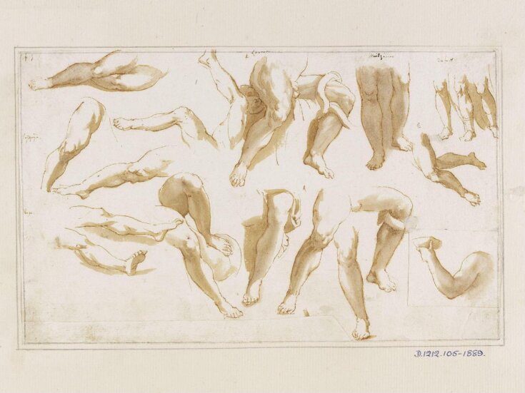 Studies of legs and an arm (after The Laocoon, Muziano, Raphael, Cavalier d'Arpino, Perino del Vaga, Michelangelo and other sources) top image
