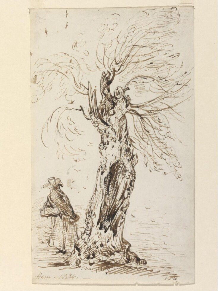 A woman by an old willow tree at Ham, Surrey top image