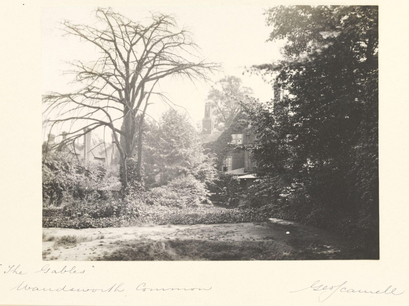 Scamell, George (Mr), National Photographic Record and Survey