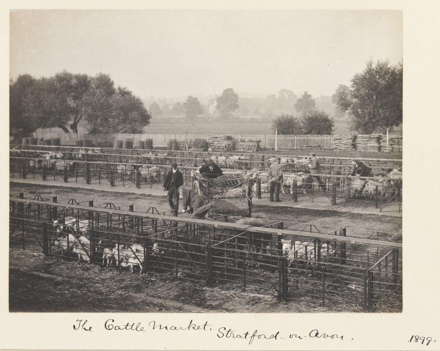 Stone, Benjamin (Sir), National Photographic Record and Survey