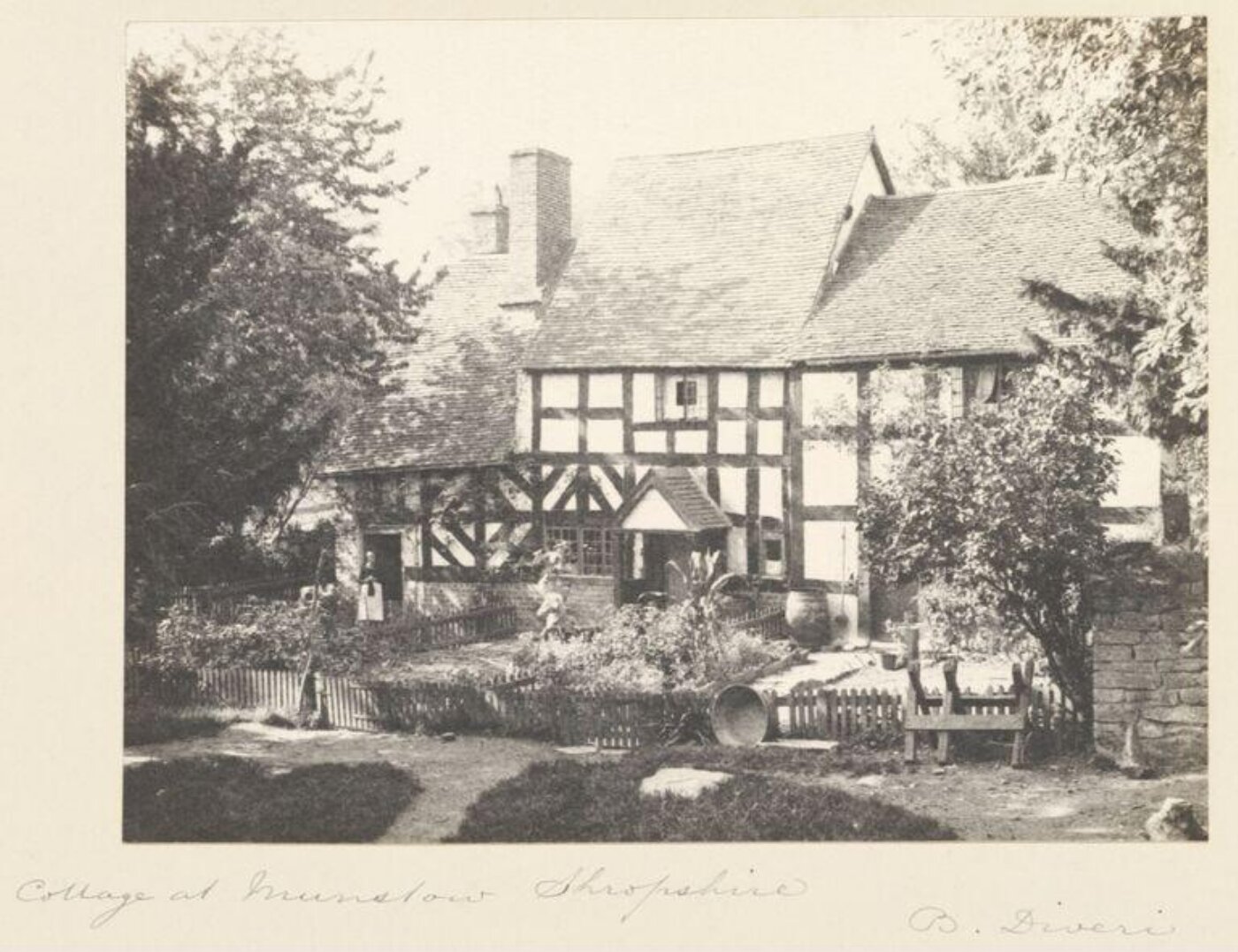 Diveri, B, National Photographic Record and Survey