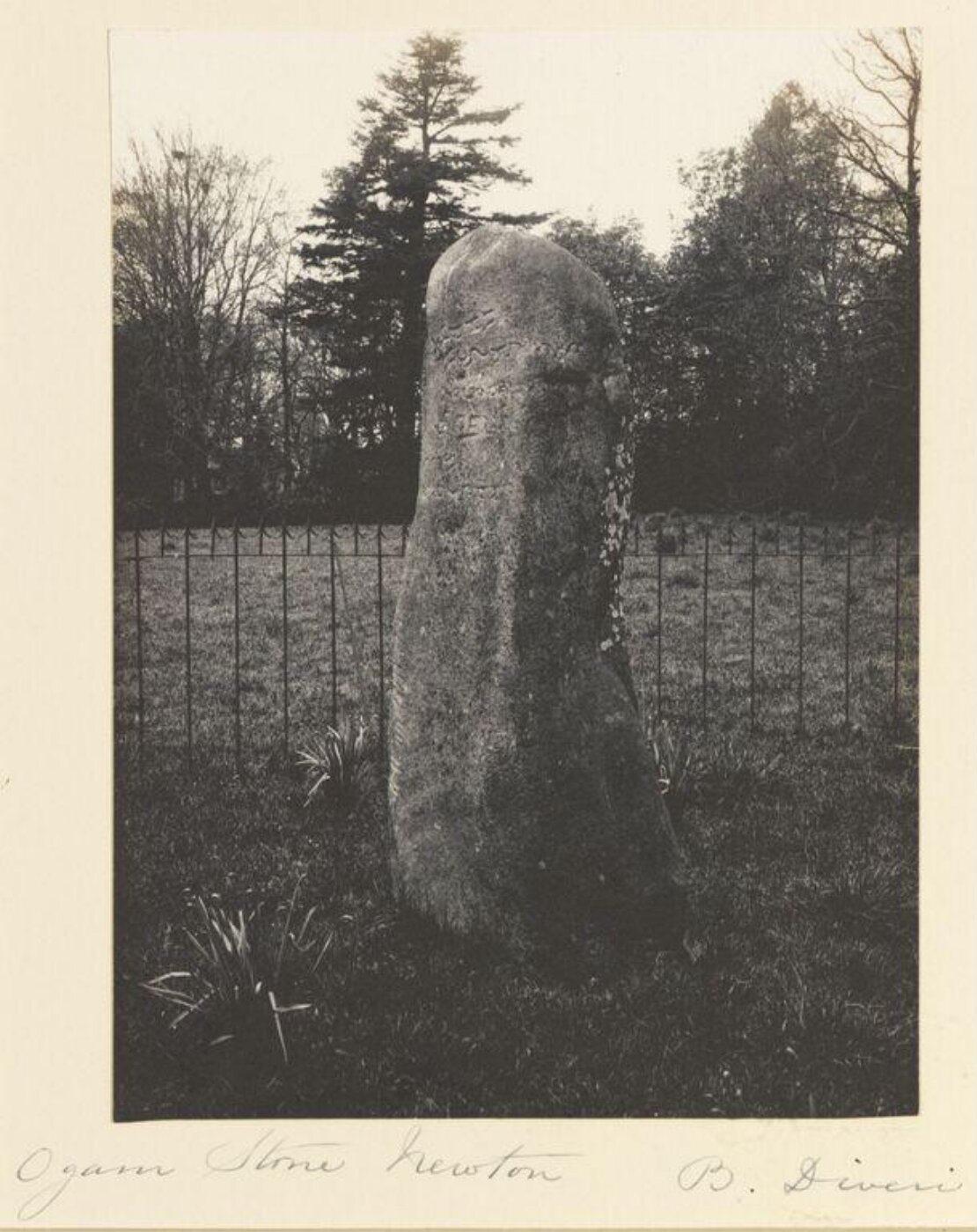 Diveri, B, National Photographic Record and Survey