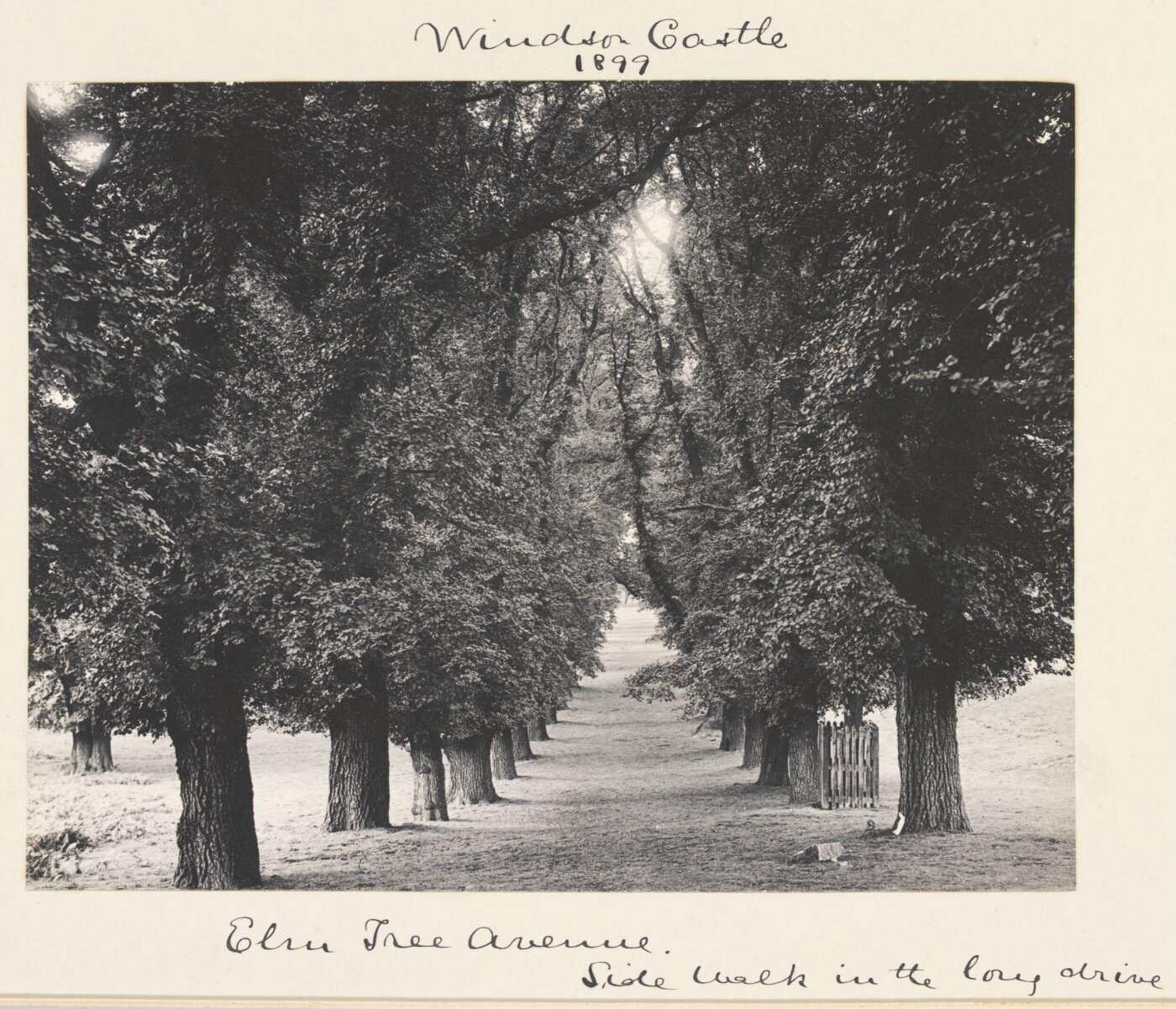 Stone, Benjamin (Sir), National Photographic Record and Survey