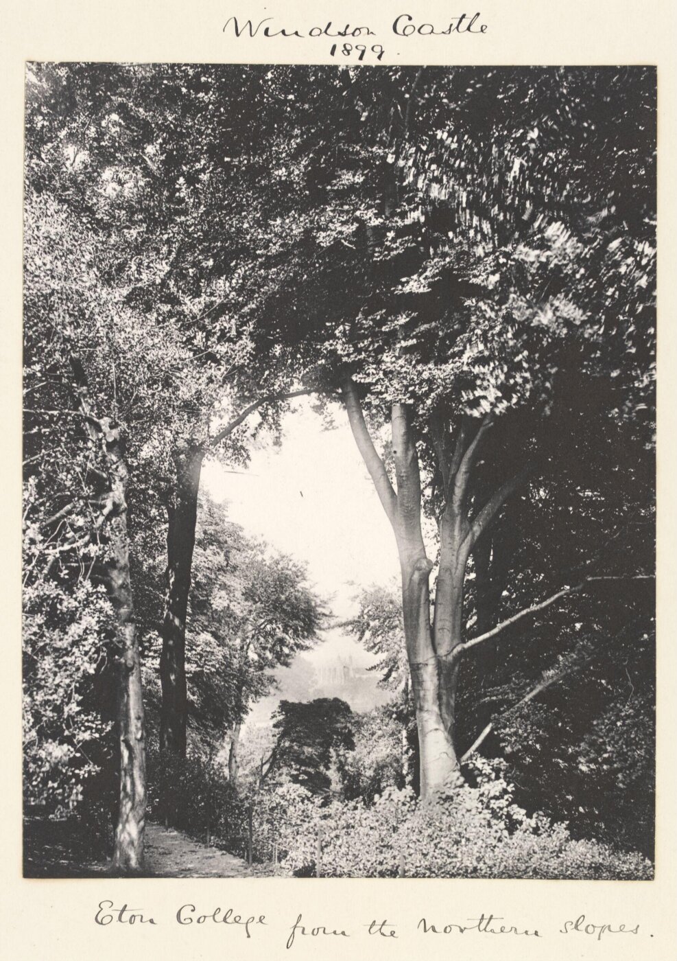 Stone, Benjamin (Sir), National Photographic Record and Survey