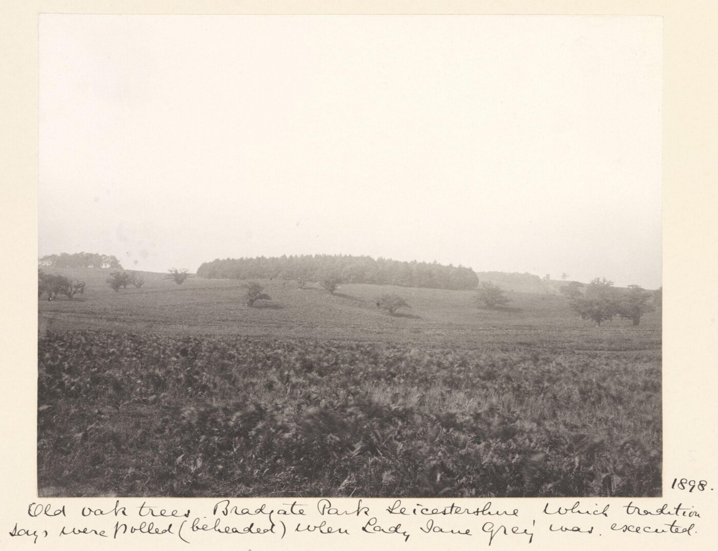 Stone, Benjamin (Sir), National Photographic Record and Survey