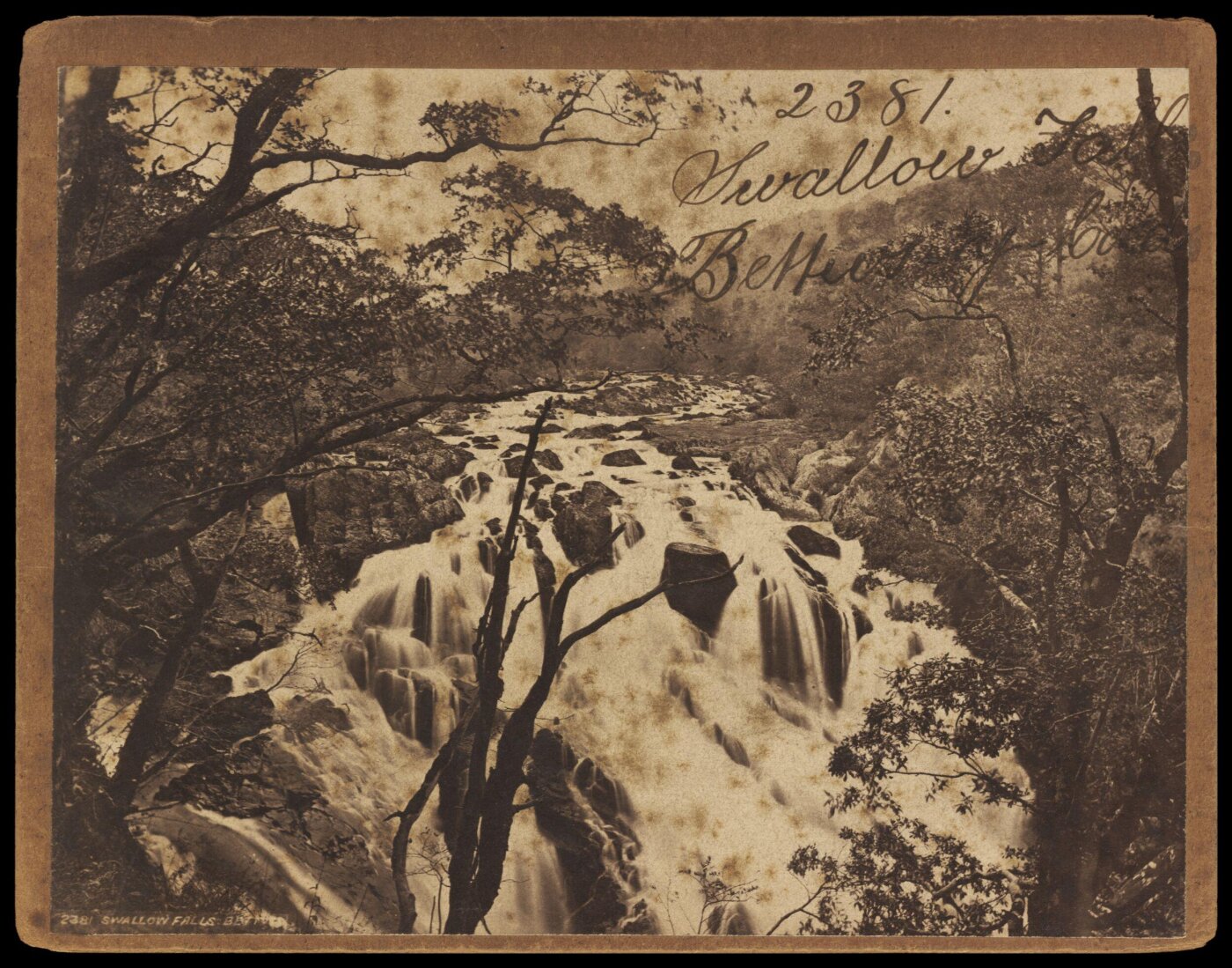 Francis Frith, Photograph