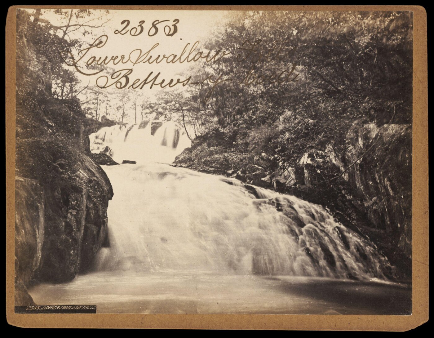 Francis Frith, Photograph