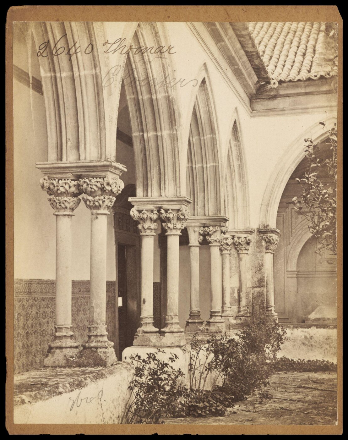 Francis Frith, Photograph