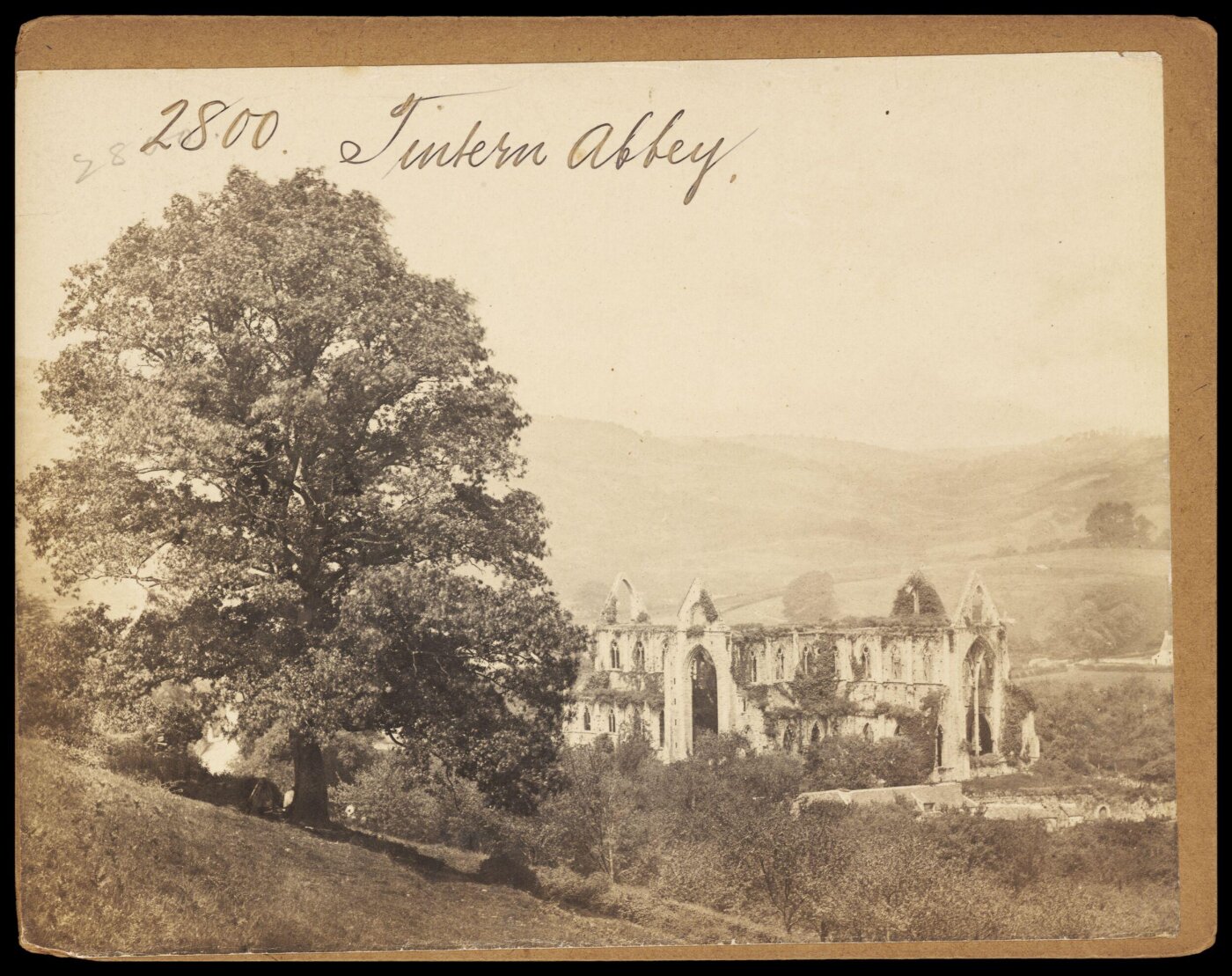 Francis Frith, Photograph