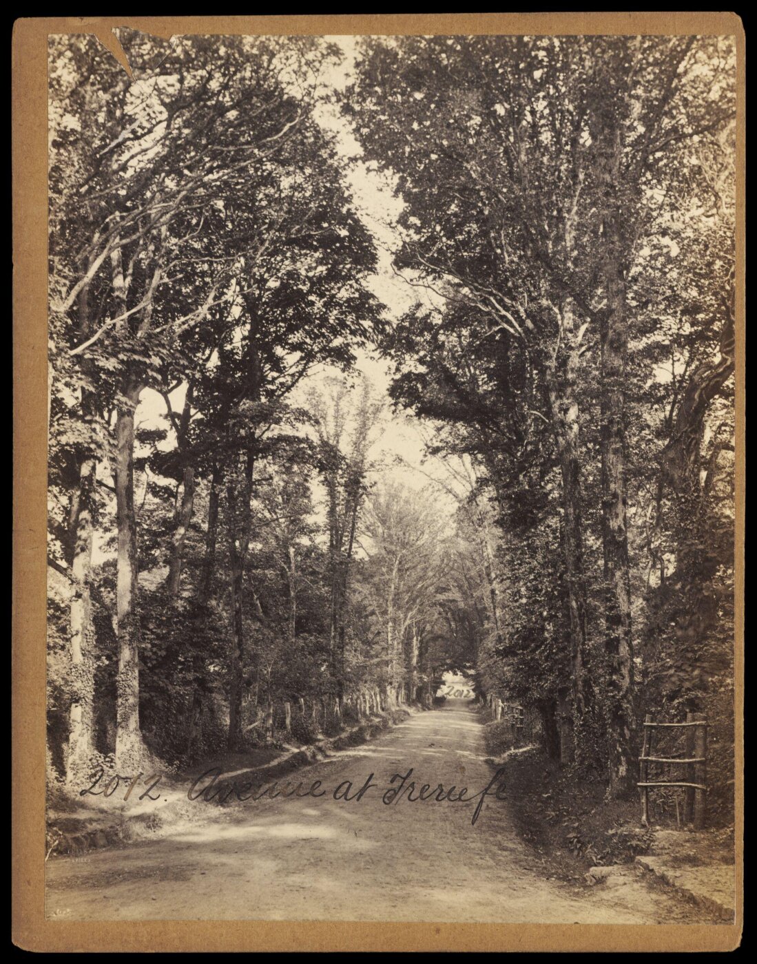 Francis Frith, Photograph