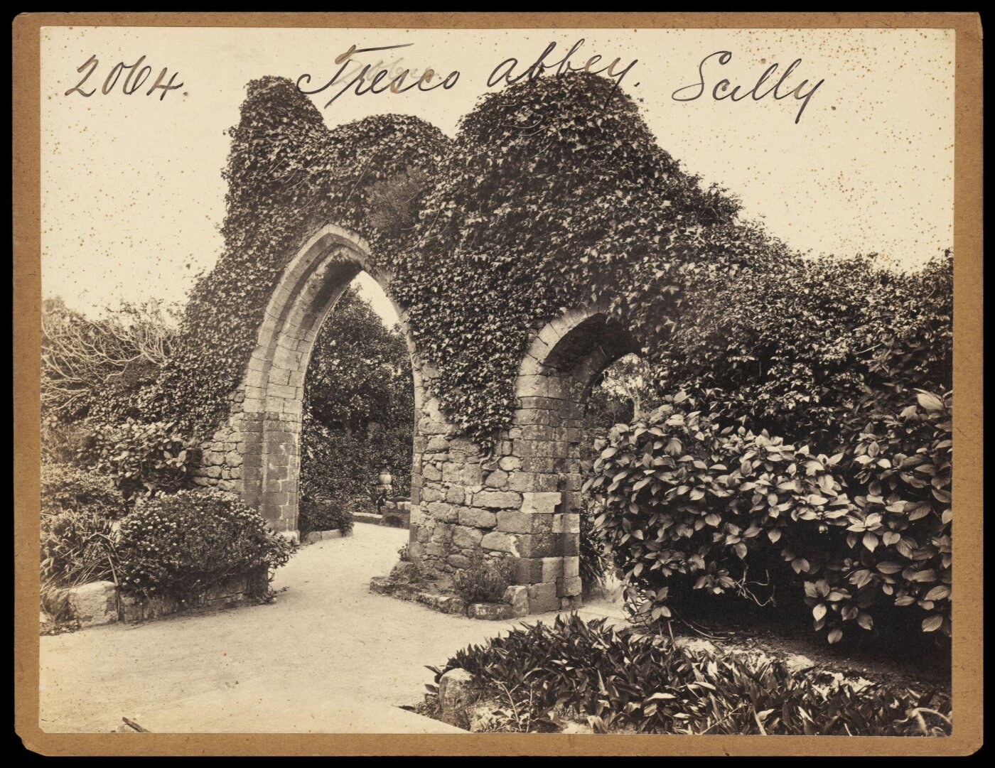 Francis Frith, Photograph