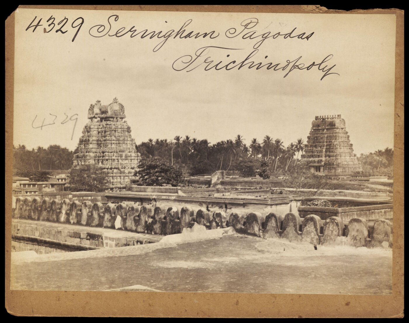 Francis Frith, Photograph