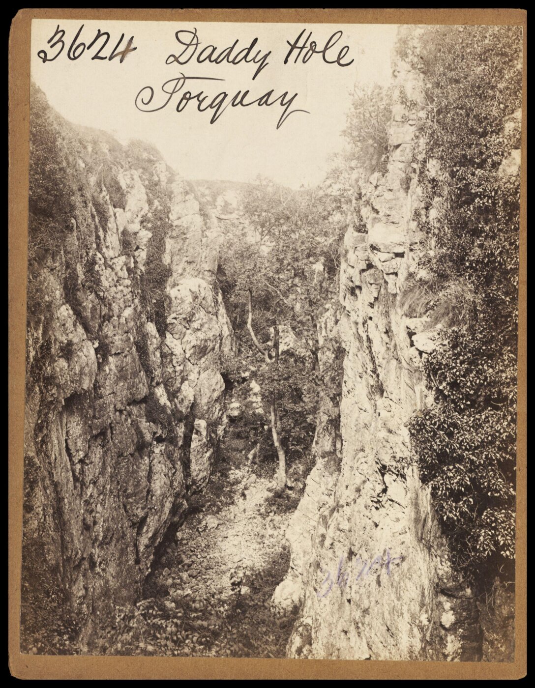 Francis Frith, Photograph