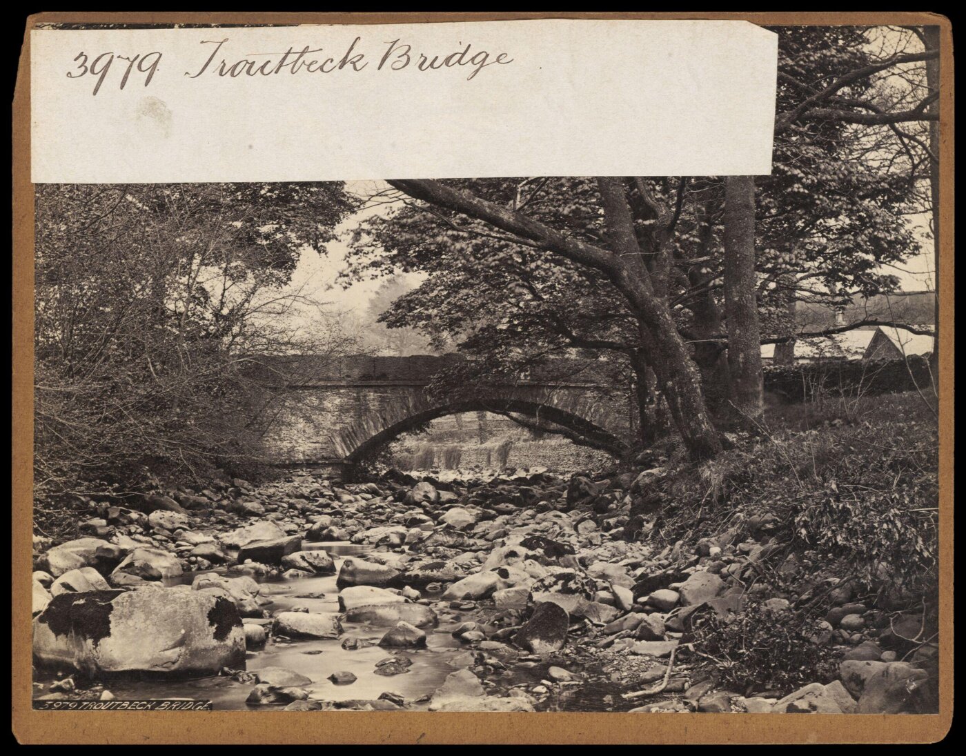 Francis Frith, Photograph