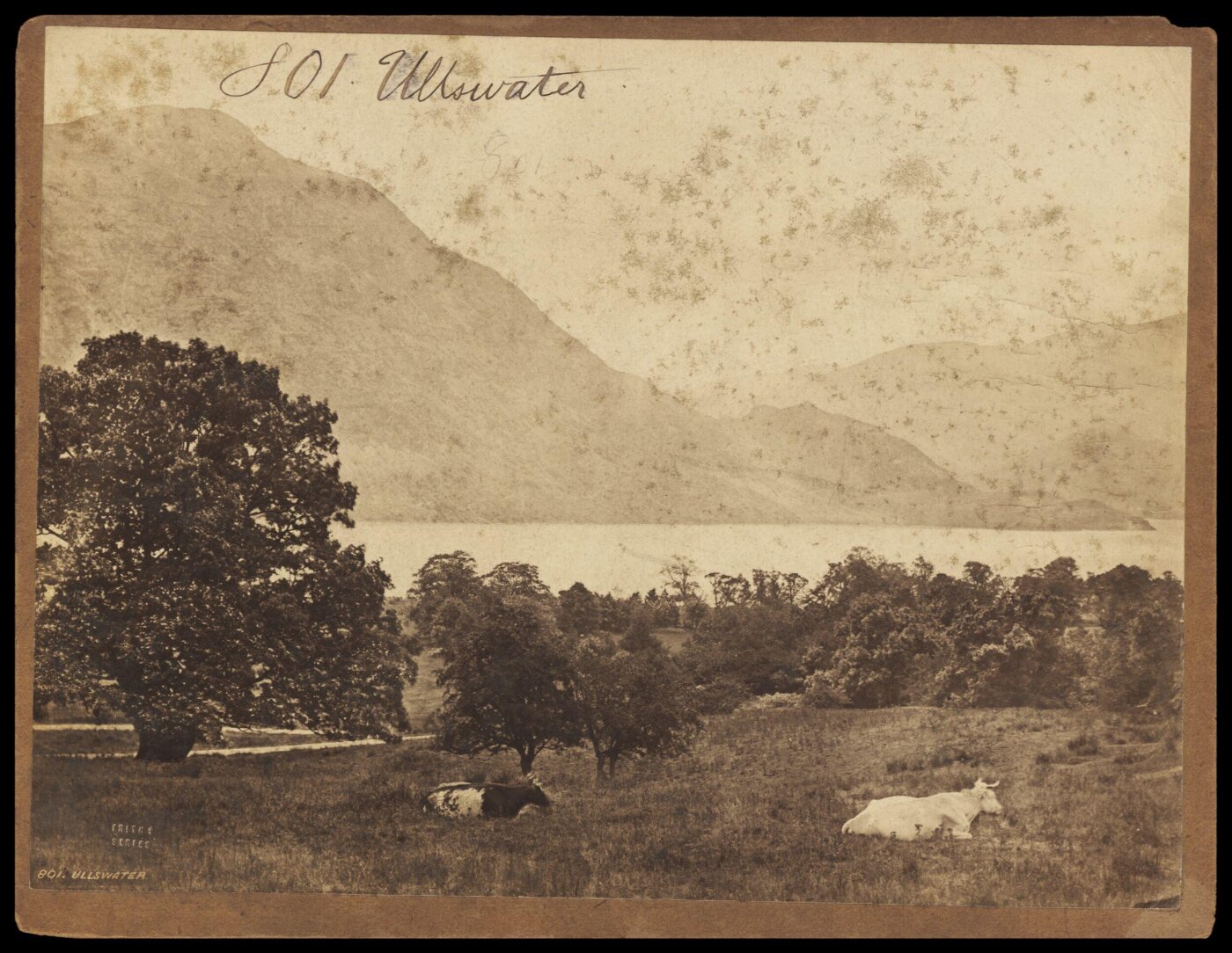 Francis Frith, Photograph