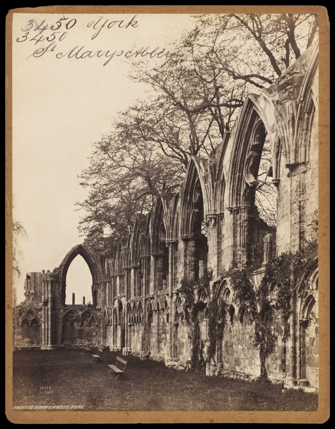 Francis Frith, Photograph