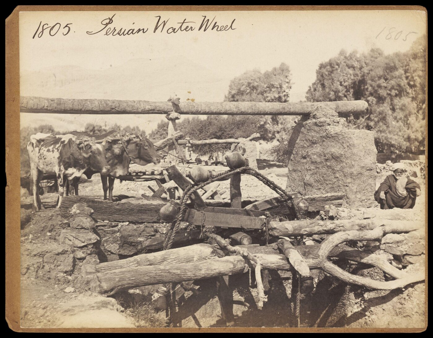 Francis Frith, Photograph