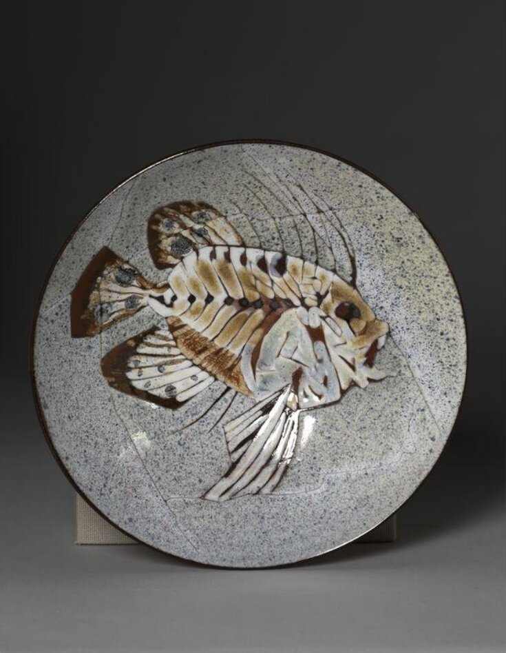 Fossil Fish series top image