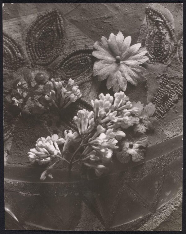 Photograph Curtis Moffat V&A Explore The Collections