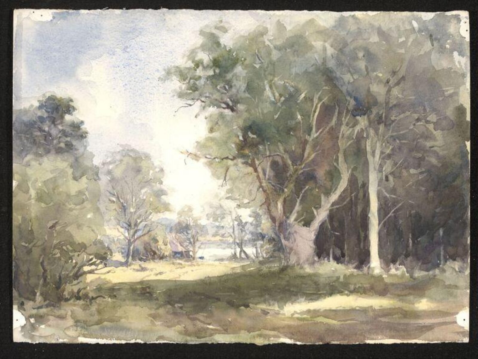 A Road through a wood, Audrey Penn, 1970-1980