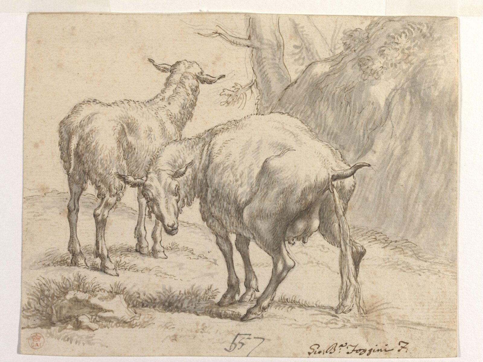 Two Sheep, One Pissing, Nicolaes Berchem, 17th century