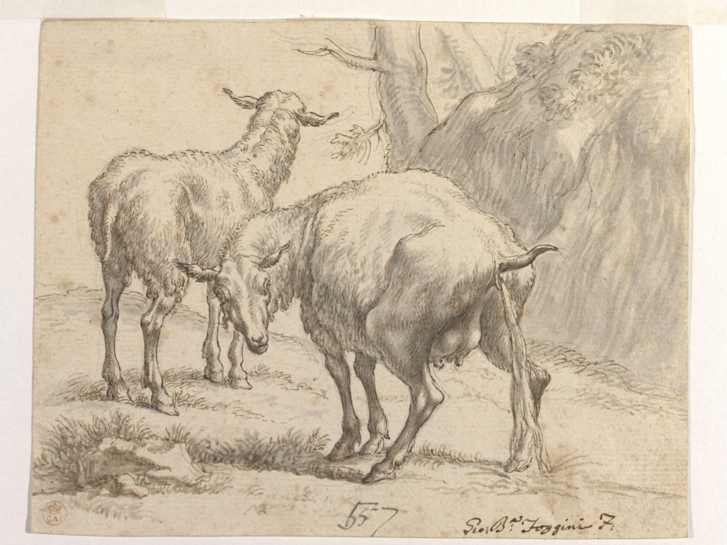 Two Sheep, One Pissing, Nicolaes Berchem, 17th century