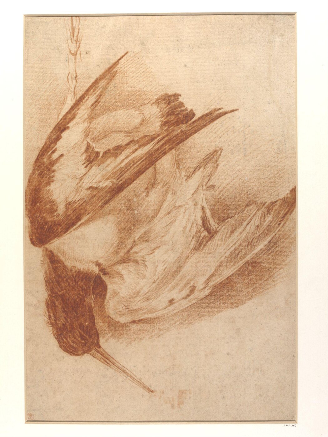Unknown, A Dead Snipe