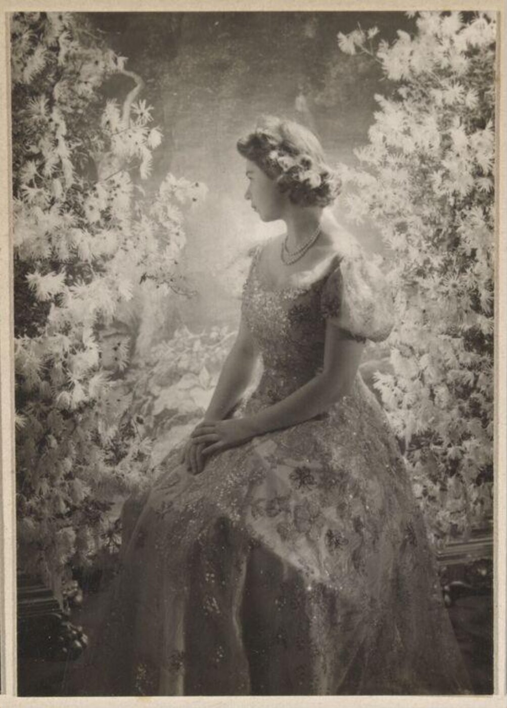 Beaton, Cecil (Sir), Photograph