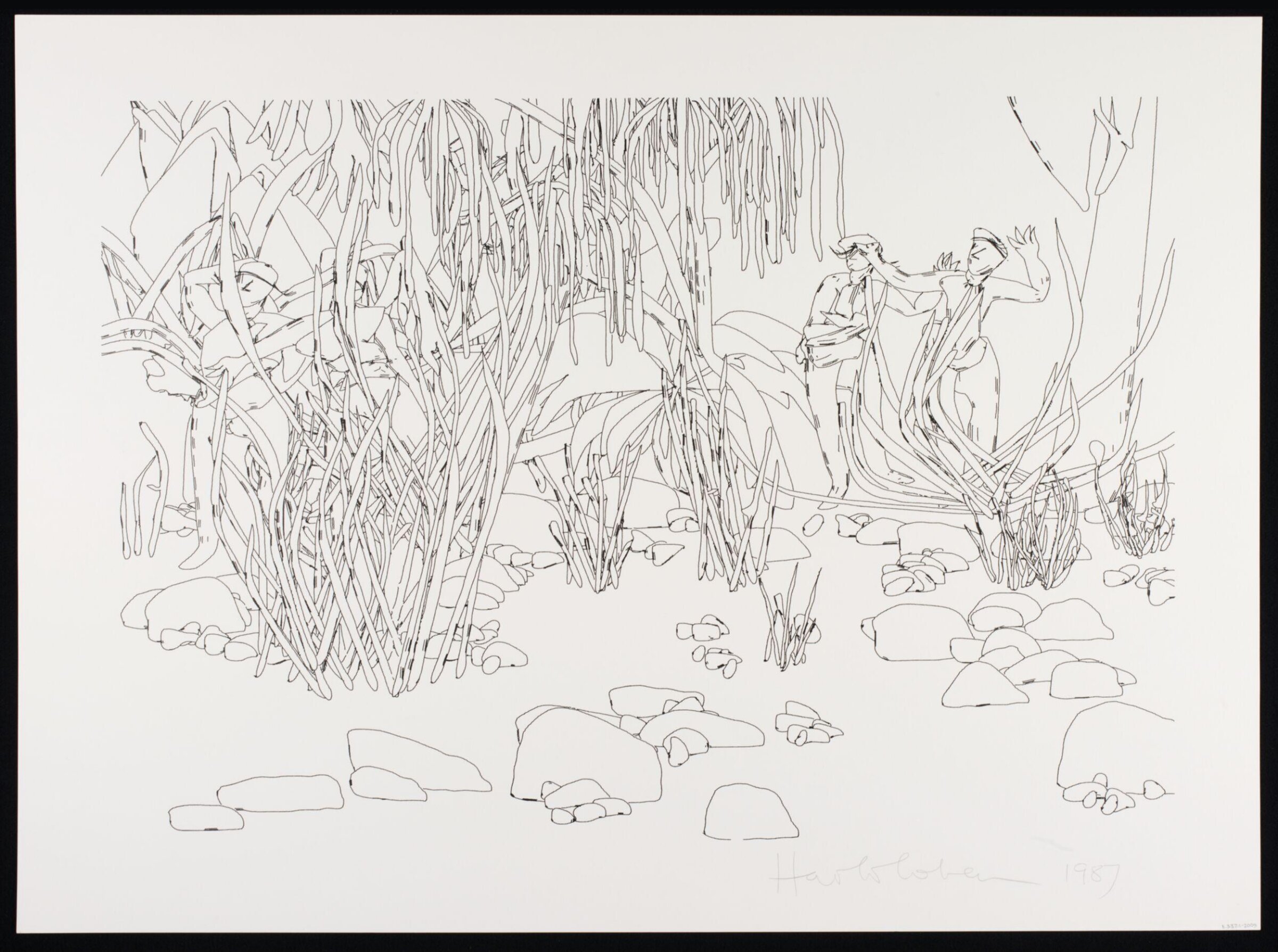 Drawing, Harold Cohen, 1987