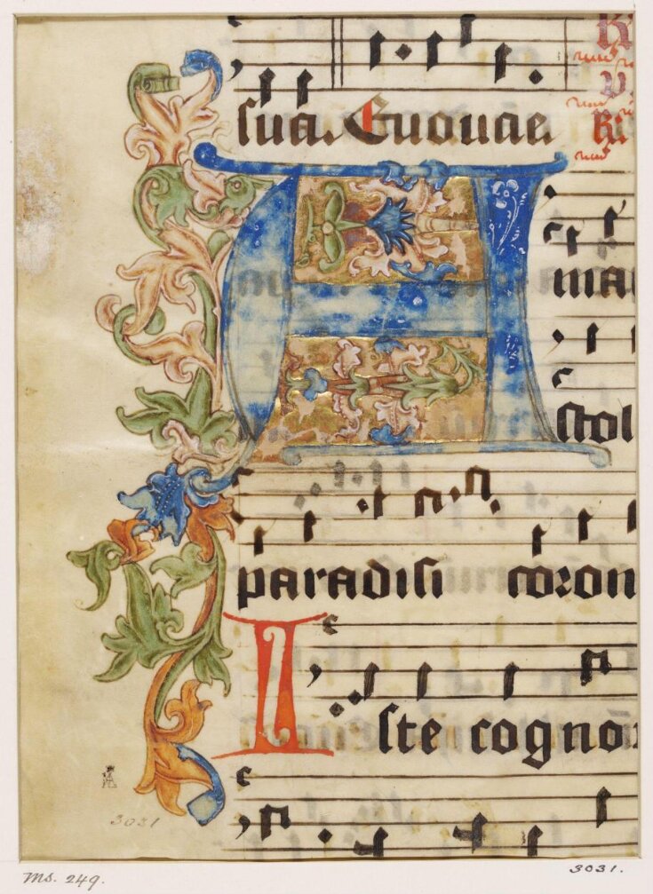 Manuscript Cutting top image