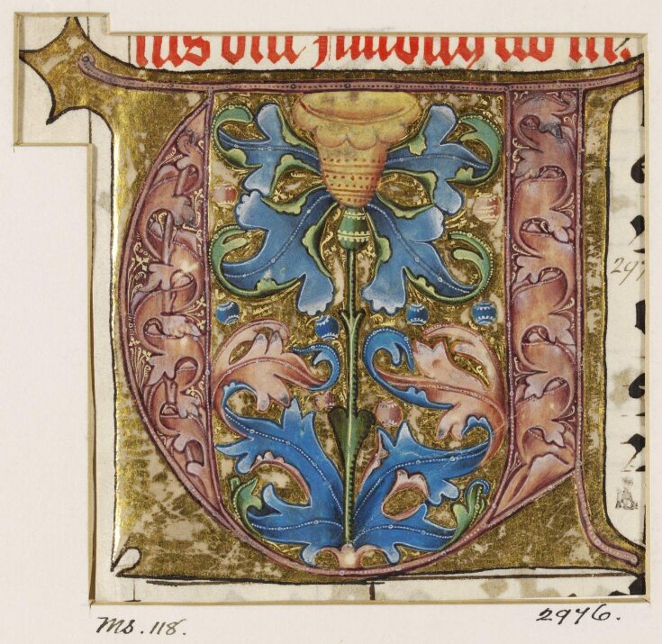 Manuscript Cutting top image