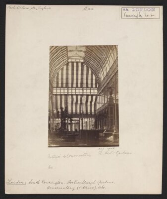 South Kensington, Royal Horticultural Gardens, Interior of Conservatory