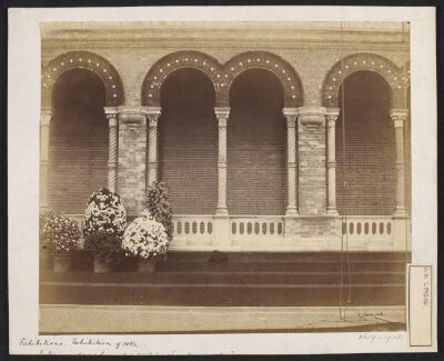 1862 International Exhibition, South Kensington, Royal Horticultural Gardens, arcade and plants